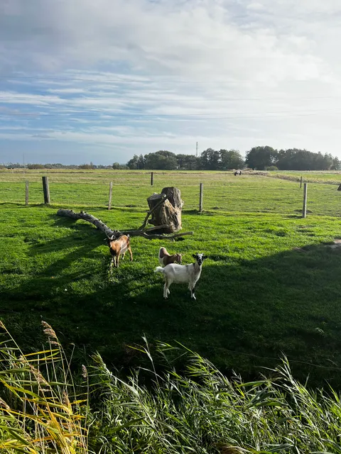 Nordseehof Peters - Urlaub auf dem Bauernhof