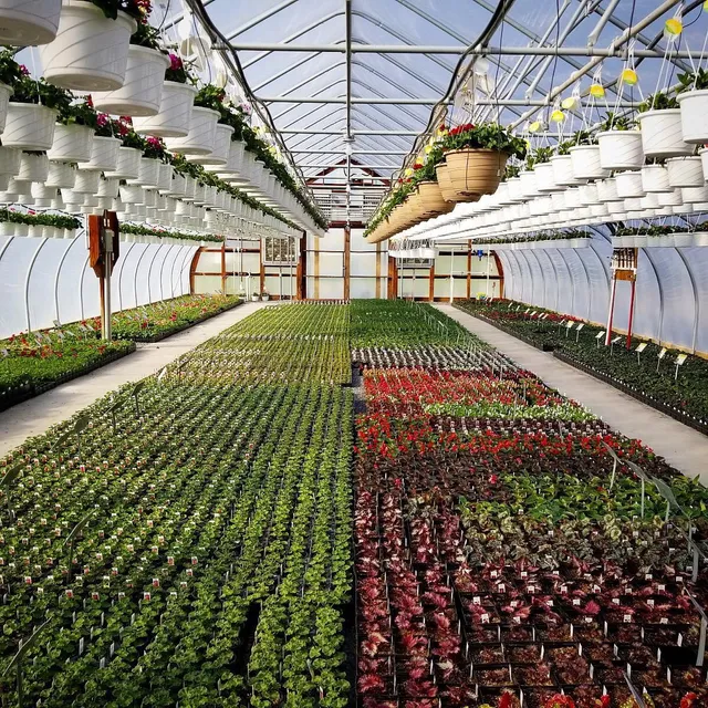 Trayer's Farm & Greenhouse