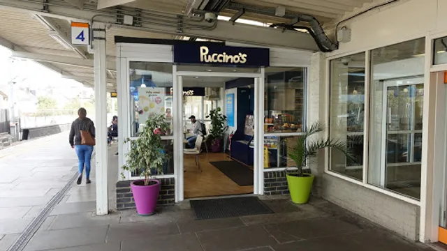 Puccino's