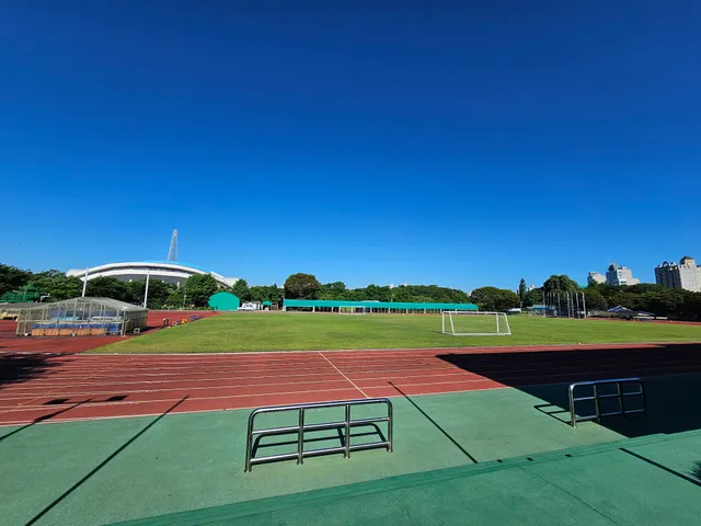 서울체육고등학교