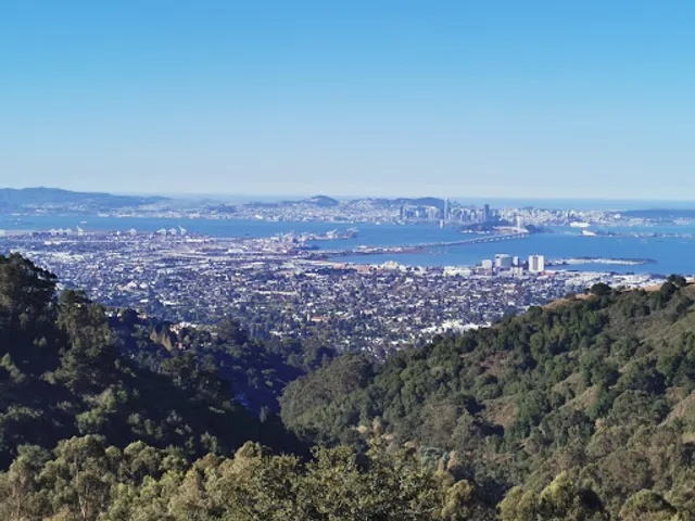 Grizzly Peak Blvd Overlook
