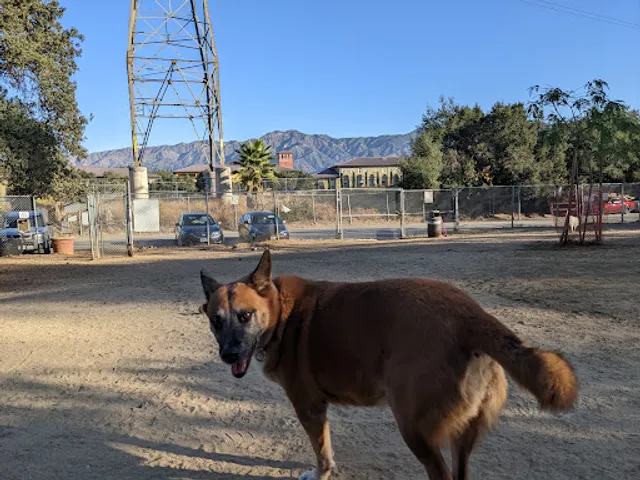 Griffith Park Dog Park