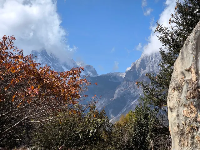 雲杉坪索道站(山下)