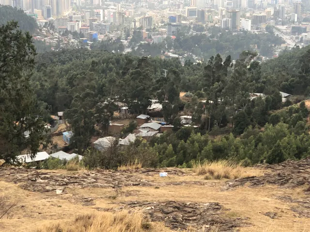 Agnese Italian Restaurant