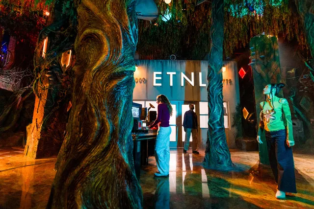 Meow Wolf Houston's Radio Tave