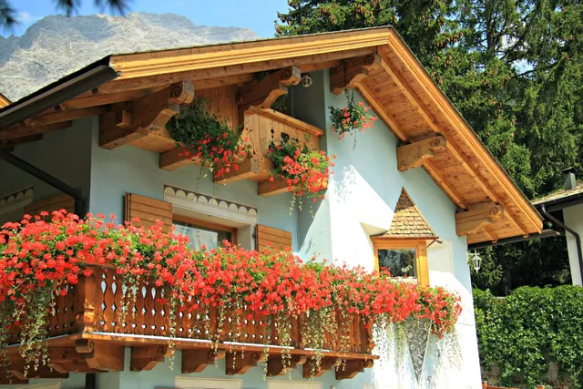 Chalet Alfonz Bormio