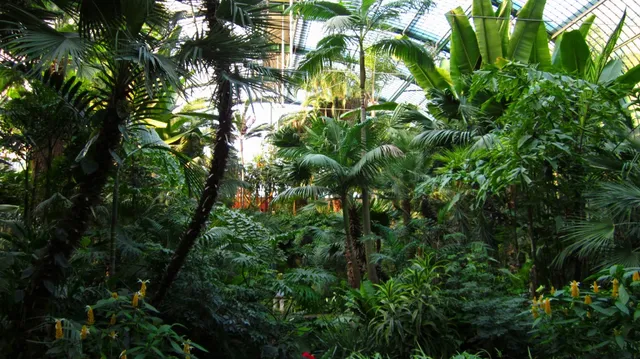 Palmengarten Frankfurt