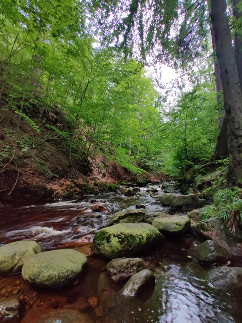 Outdoor-Sportgeschäft & Ferienwohnung – Wanderlust | Ilsenburg (Harz)