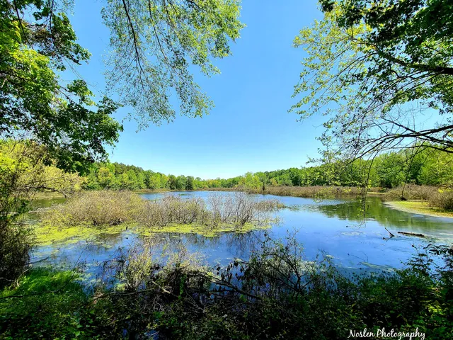 Bona Dea Trails & Sanctuary