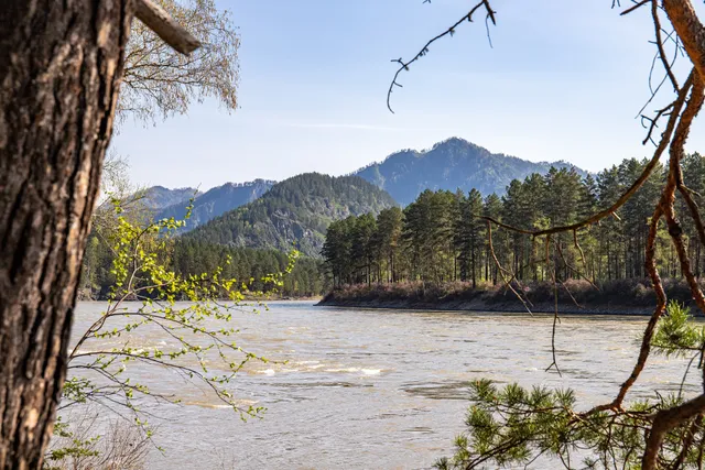 Куюсское сельское поселение
