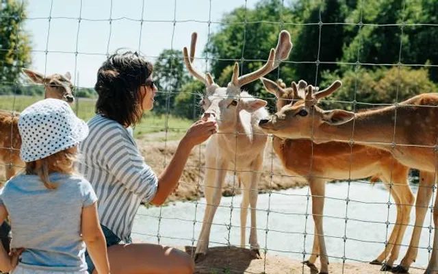 Boulder Ridge Wild Animal Park