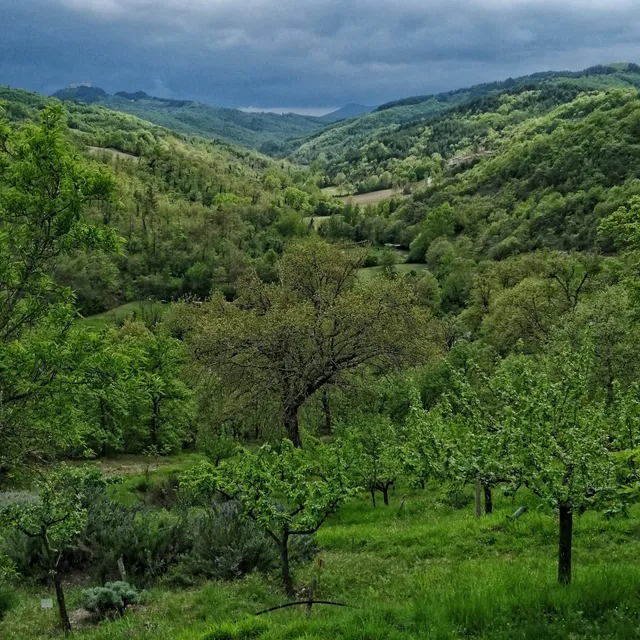 Archeologia Arborea - S. Lorenzo - Lerchi
