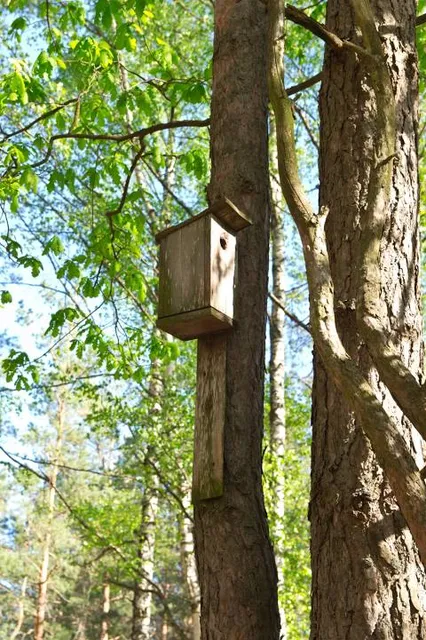 Viesatas upesloku takas