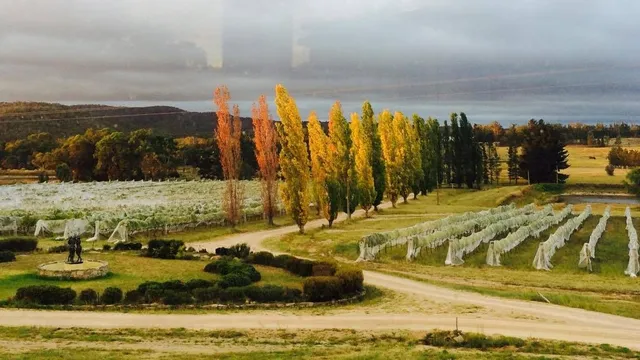 Harrington Glen Estate