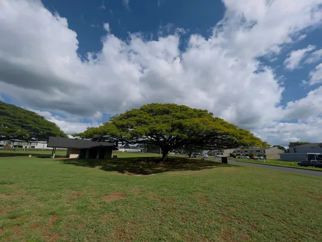 Mililani Ravine Park