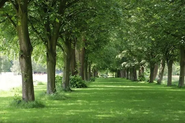 Marbury Country Park