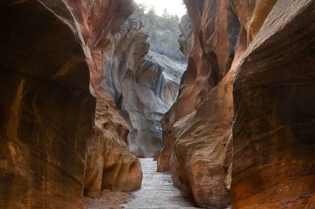 Willis Creek Slot Canyon trailhead
