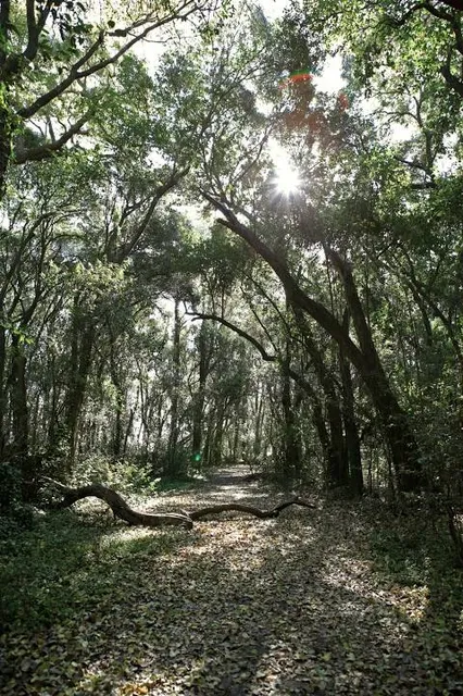 Nature Reserve Municipal Santa Catalina
