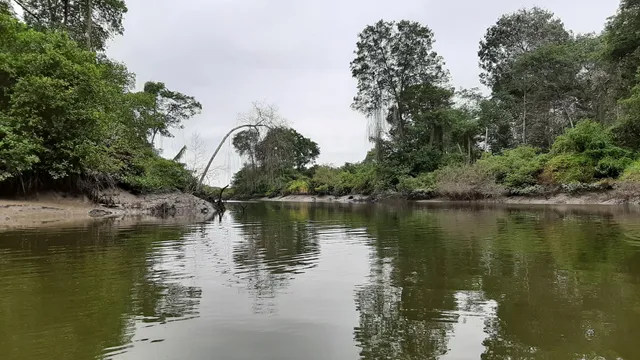 Reserva Ecológica Manglar Churute