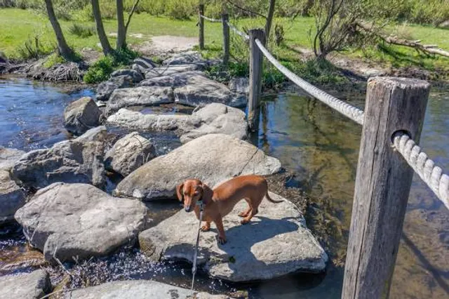 Brug Molenplas (oude Maas)