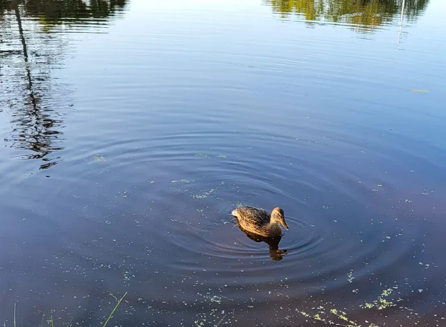 Riverfront Arts Center