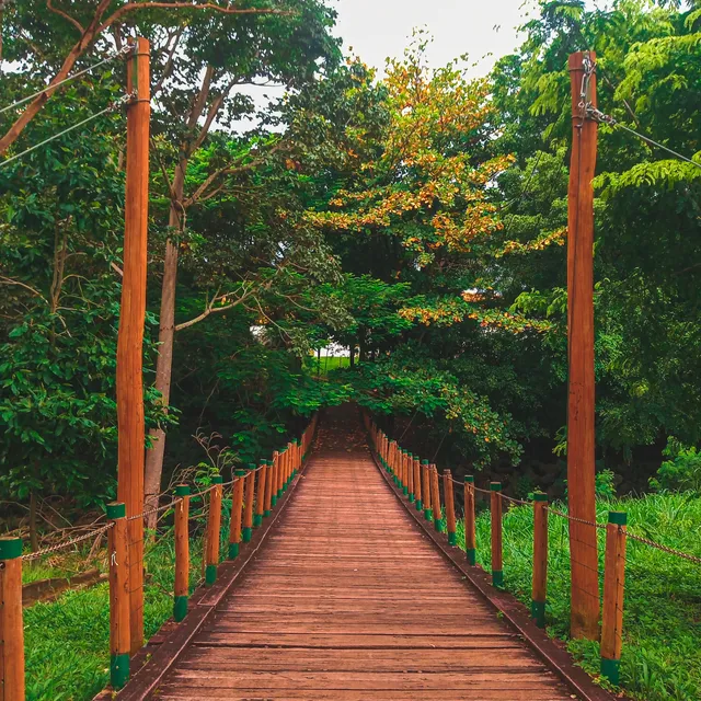 Parque Bernardo Élis de Goiânia