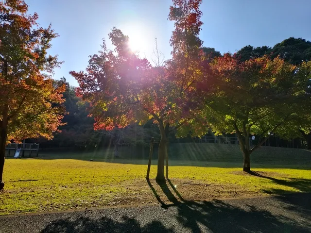 Tobarichiku Park