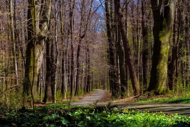 Park Wolności im. Juliusa Peppela
