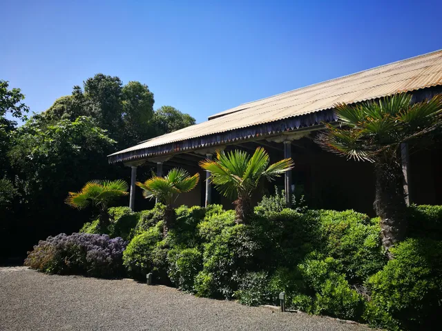 photo-1