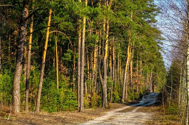 Chęciny - Kielce Landscape Park