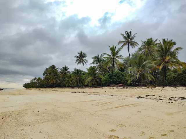 Makunduchi Beach