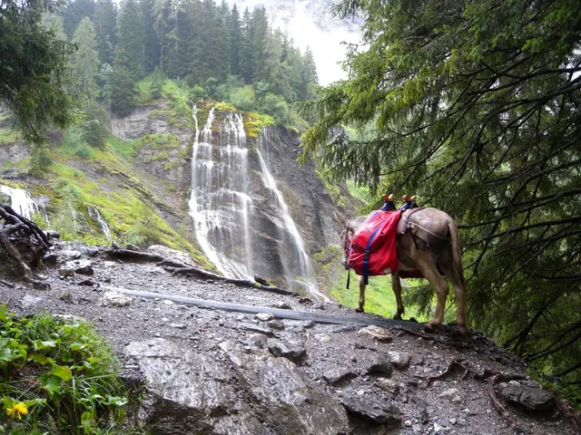 Cascade de la Pleureuse
