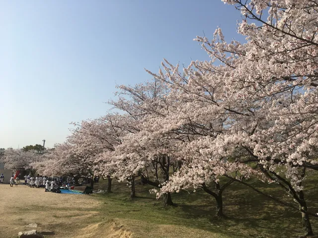 Shūnan Ryokuchi Park (East Area)