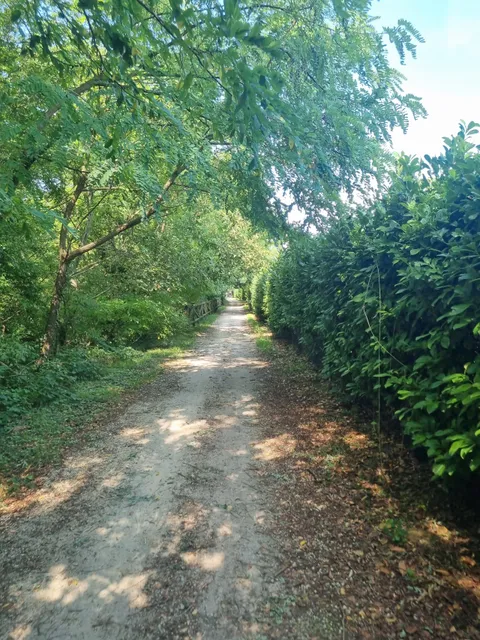 On the trail of the Ezzelini