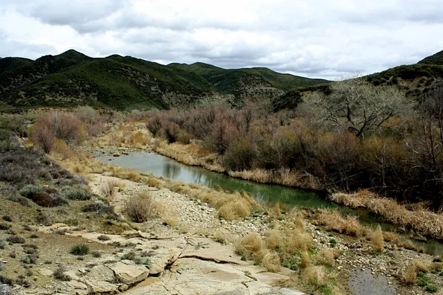 Arroyo Conejo Open Space
