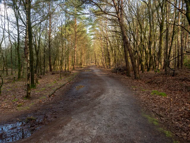 Nieuwe Heide