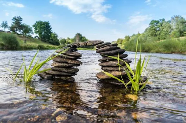 North Shields Ponds Natural Area