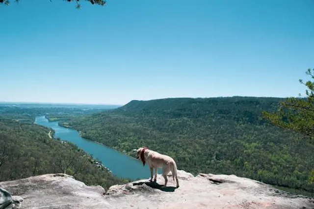 Prentice Cooper State Forest Trailhead parking