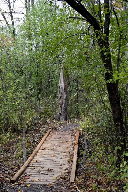 Westminster Ponds/Pond Mills Conservation Area