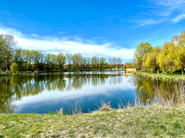 Veresegyházi tavak tanösvény