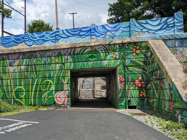 Fountain Street Steps