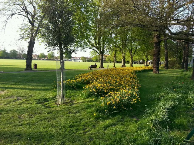 Queen Elizabeth II Field (Barkingside Recreation Ground)