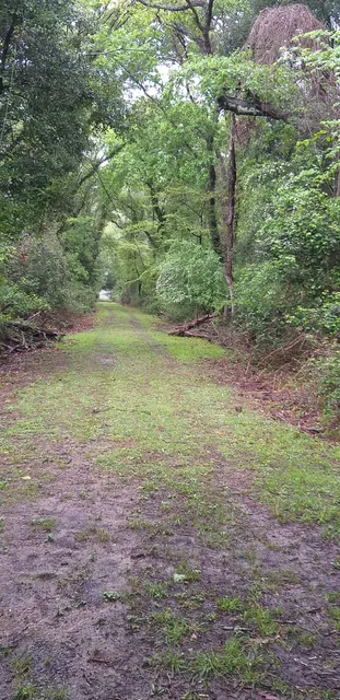 Oasi WWF Bosco di Cornacchiaia