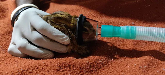 People for Animals, Bangalore