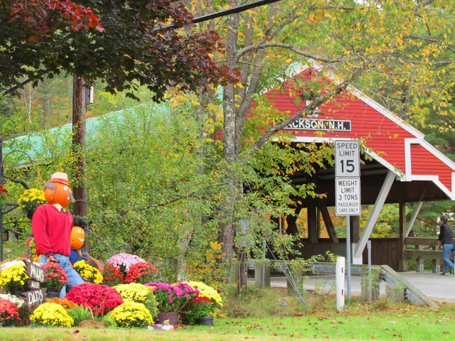 Jackson NH - Pumpkin People