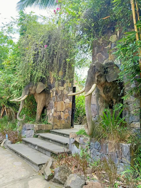 Wild elephant Lombok