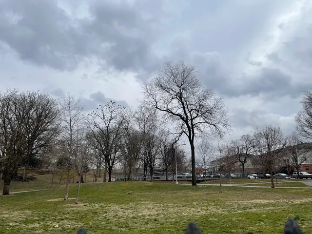 Nyc Parks & Recreation