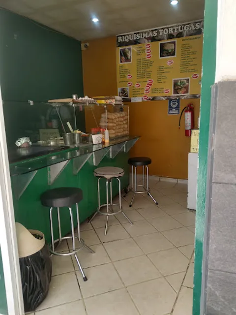 Las Tortugas De Leon