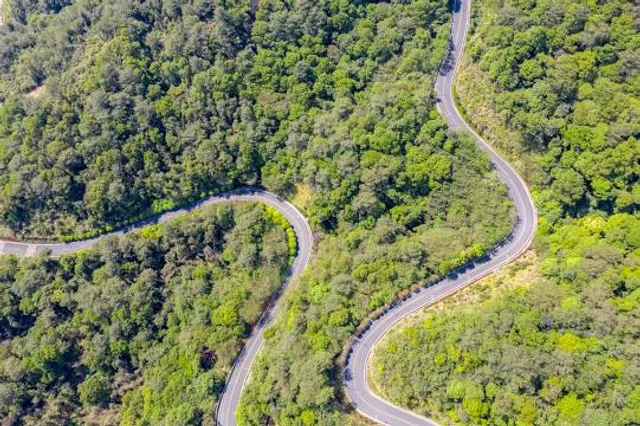 The Crooked Road: Virginia's Heritage Music Trail