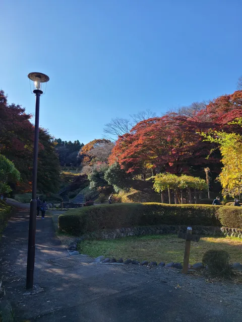 Gotenyama Park